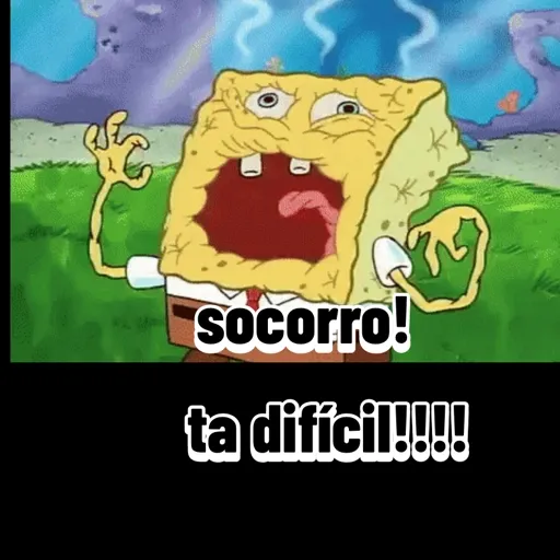 Animadas 24