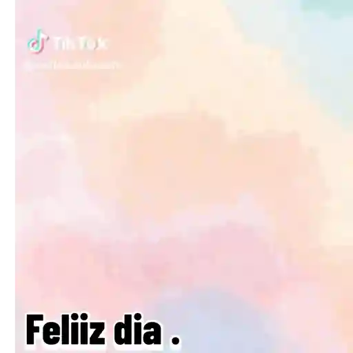 Animadas 16