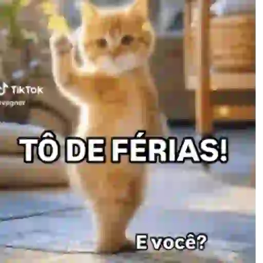 Animadas 9