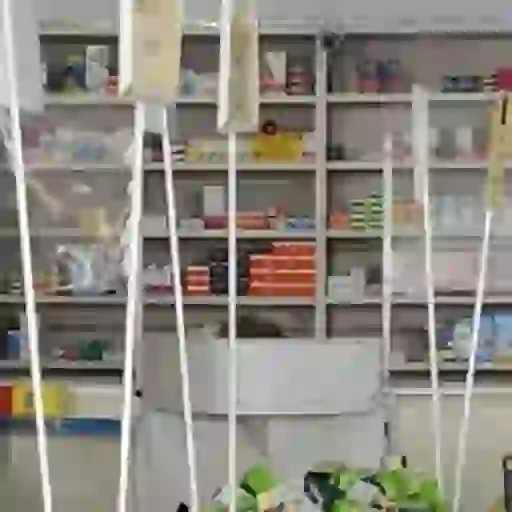 Animadas 17