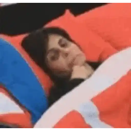 Animadas 2
