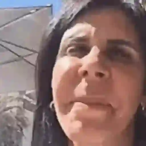 Animadas 3