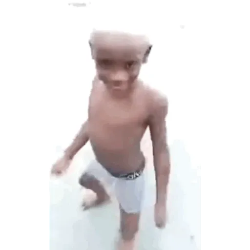 Animadas 19