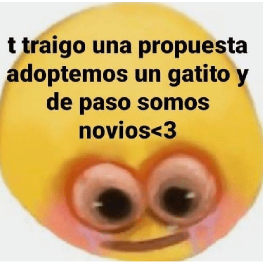 Bola amarilla 3 11