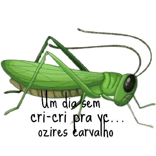 OZCAR 12