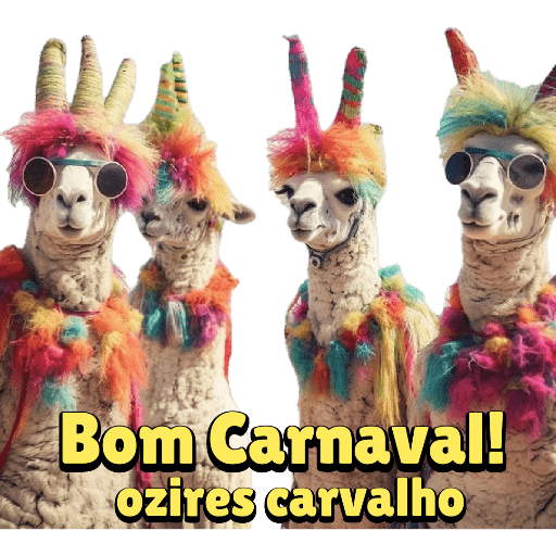 Aniversário  17