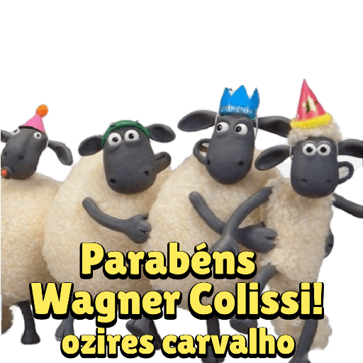 Aniversário  8