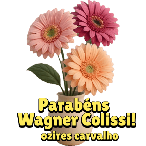 Aniversário  7
