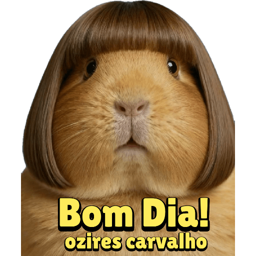 Aniversário  13