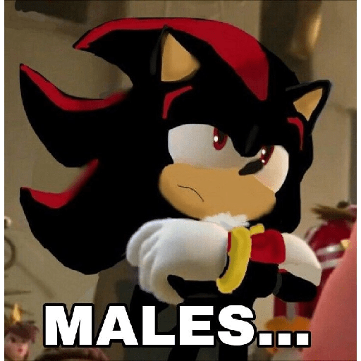 Meme sonic 8