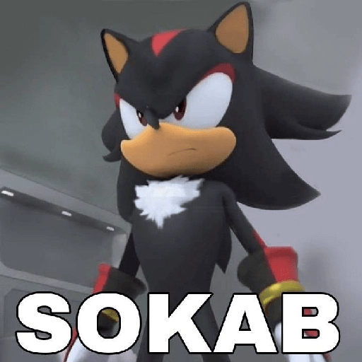 Meme sonic 13