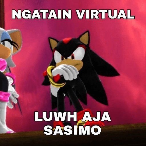 Meme sonic 18