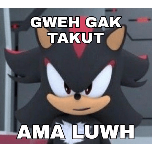 Meme sonic 19
