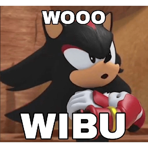 Meme sonic 21