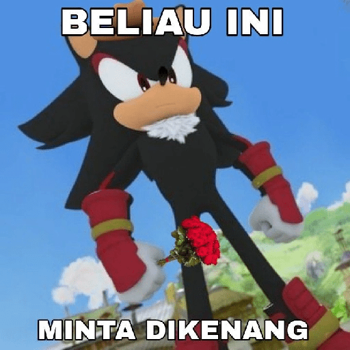 Meme sonic 22