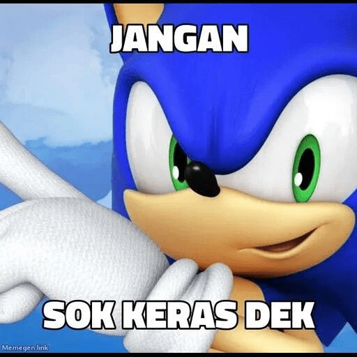 Meme sonic 25