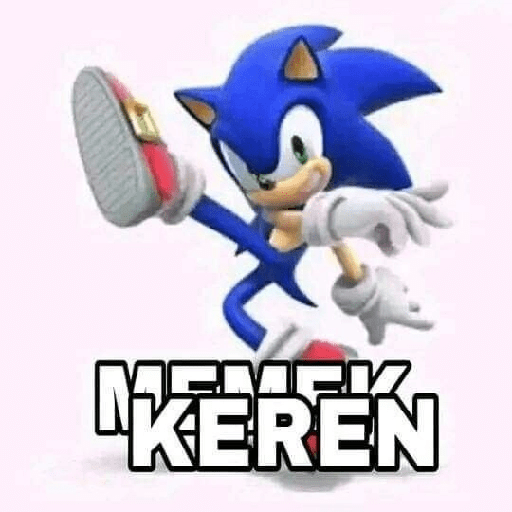 Meme sonic 27
