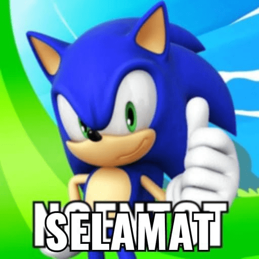 Meme sonic 29