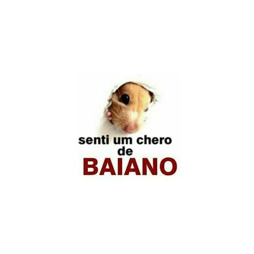 FODASSI? KKKKKJ 15