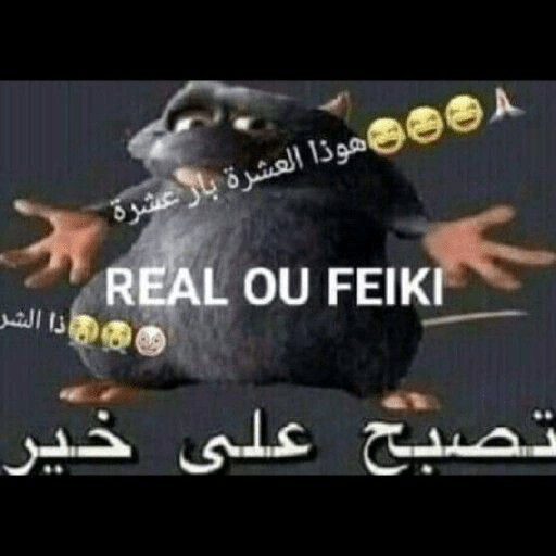 FODASSI? KKKKKJ 17