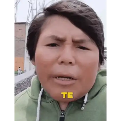 Mis pegatinas