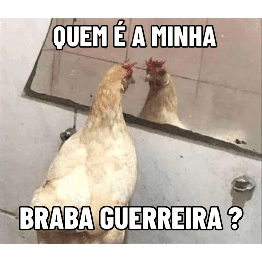 Olá 26
