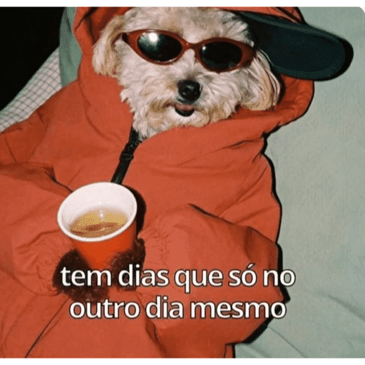 Olá 20