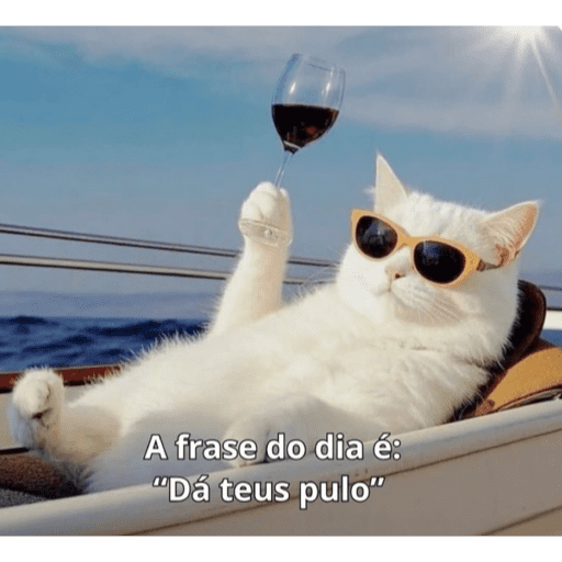 Olá 21