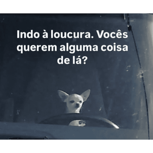 Olá 22