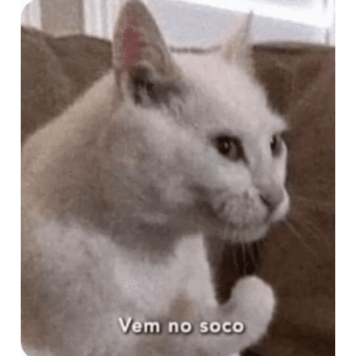 Olá 14