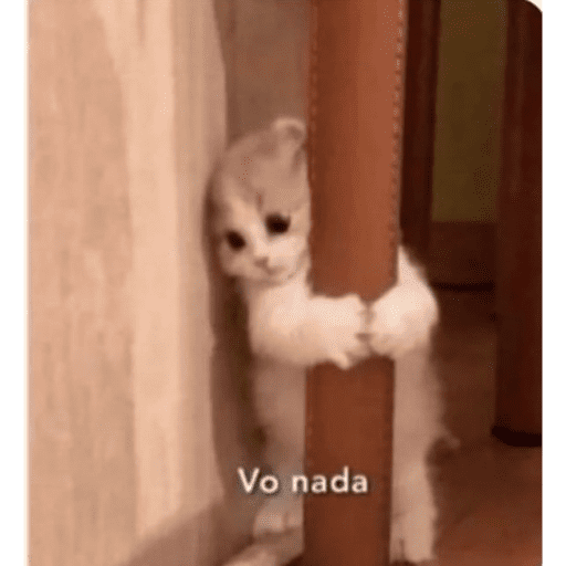 Olá 13
