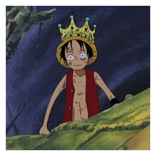 Luffy 5