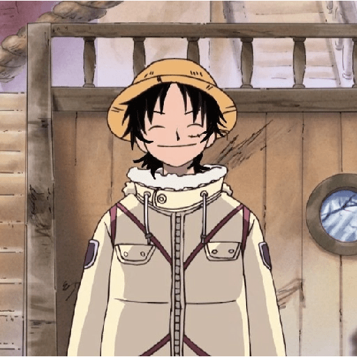 Luffy 9