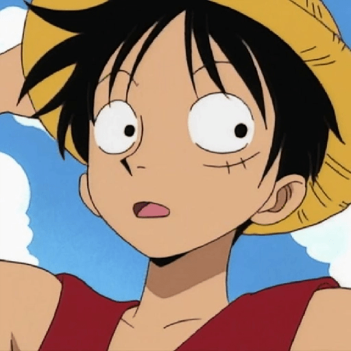 Luffy 15