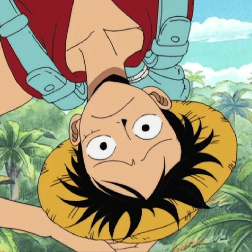 Luffy 16
