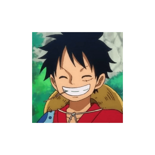Luffy 21
