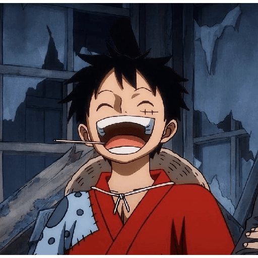 Luffy 27
