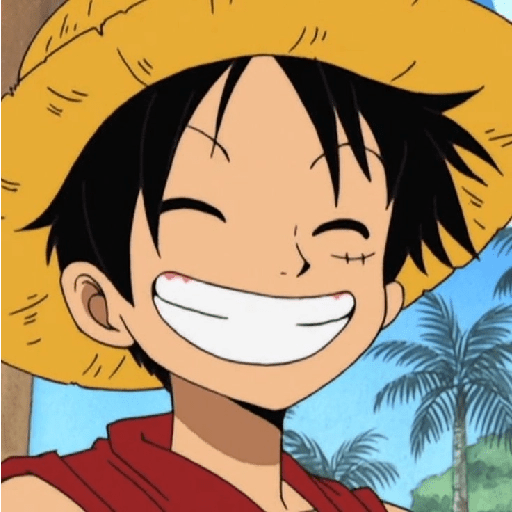 Luffy 28