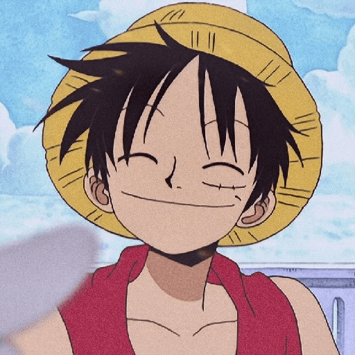 Luffy 29
