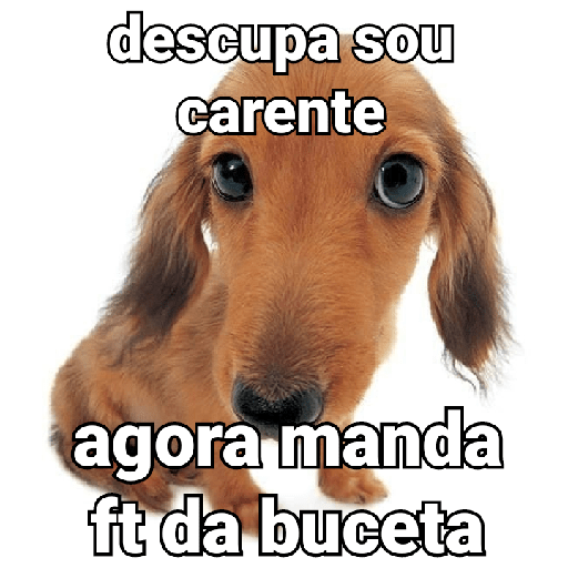 Bichos fofos com frases sus 11
