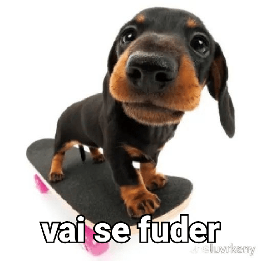 Bichos fofos com frases sus 10