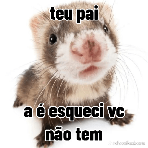 Bichos fofos com frases sus 1