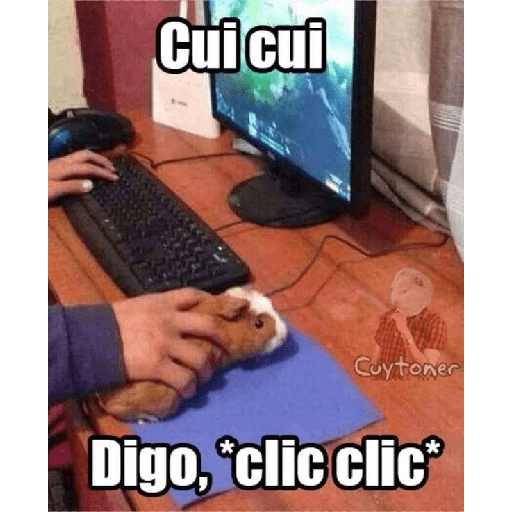 Bichos fofos com frases sus 6