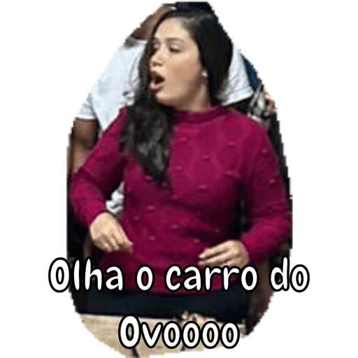 Minhas figurinhas 6