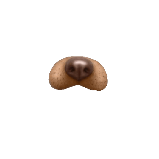 Filtro de cachorro 4