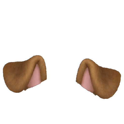 Filtro de cachorro 3