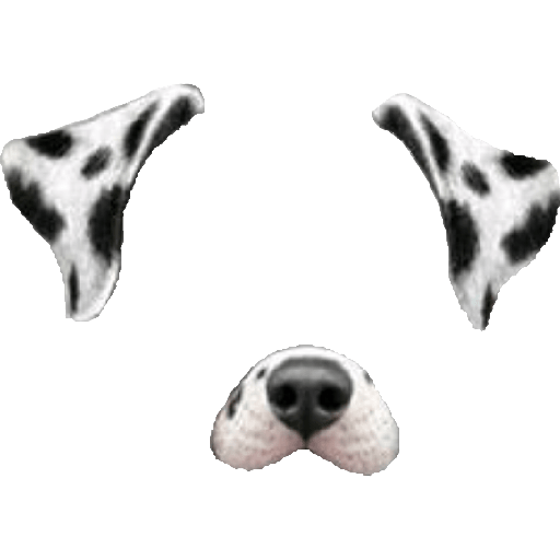 Filtro de cachorro 2