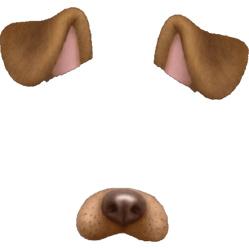 Filtro de cachorro 1