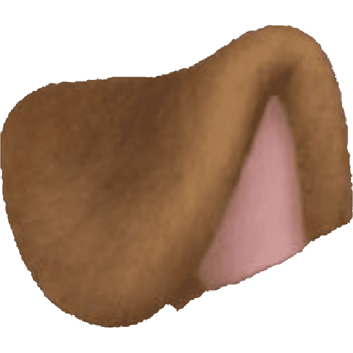 Filtro de cachorro 10
