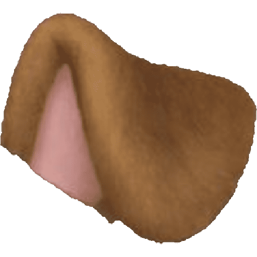 Filtro de cachorro 9